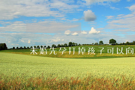 未婚先孕打掉孩子可以向男方要賠償嗎？